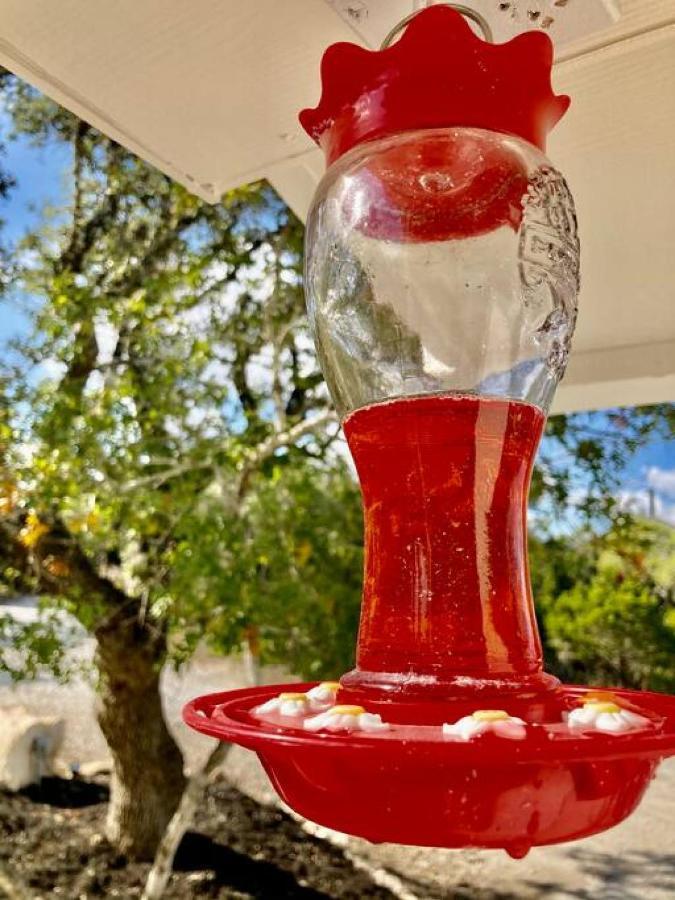 Hummingbird Haus - Hill Country Views On 20 Acres With Firepit Villa Spring Branch ภายนอก รูปภาพ
